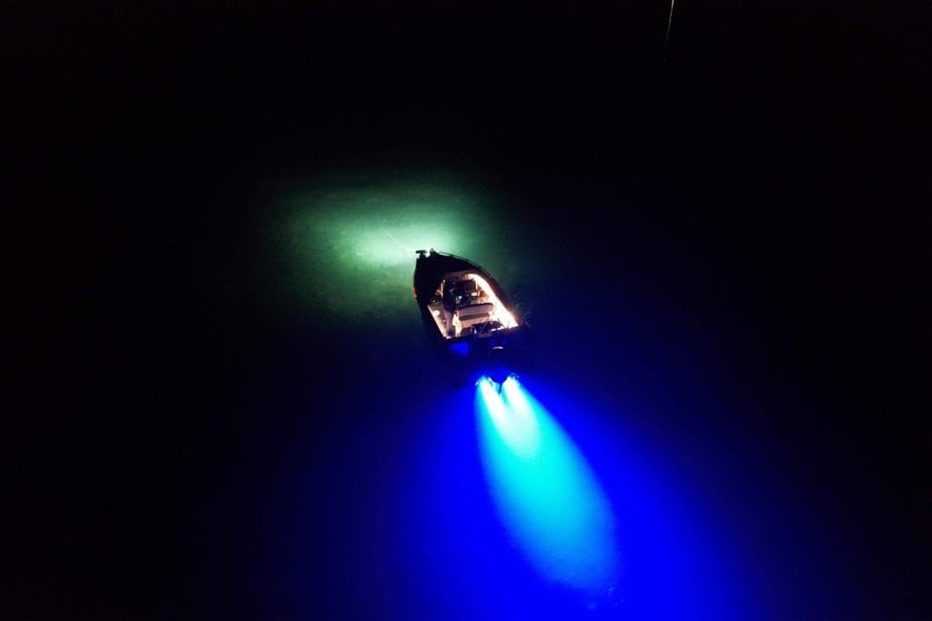 Made in Japan JB40 Solution for Transom Underwater Lighting COB LED 9-32V Multivolt IP68 DIY Installation +4500lm (Black Body, Cool White LED Color)