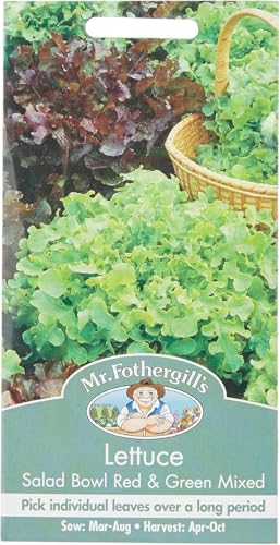 Mr Fothergill's 17329 Vegetable Seeds, Lettuce Salad Bowl Red & Green Mixed, red/Green
