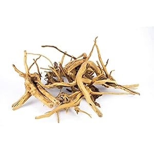 Spiderwood | 10-30 cm 20-30 cm