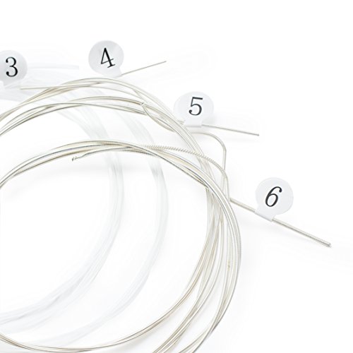 Saflori, Set di 6 corde per chitarra acustica, 1