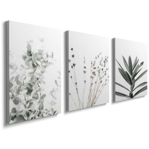 DFZEWKI Botanical Prints White Wall Art Living Room Lounge Bedroom Poster Home Decor(50x70cm(20x28in) x3/No frame)