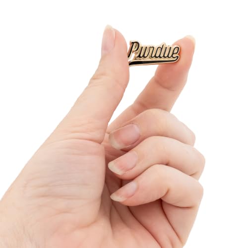Image of Desert Cactus Purdue University Magnetic Metal Lapel Pin (F) | Officially Licensed PU Purdue Boilermakers Enamel Finish Lapel Pin Formal Wear Bag and Hat Jewelry Tie Track Brooch Pin