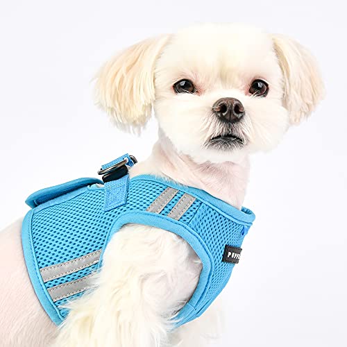 SOFT VEST HARNESS PRO - SKY BLUE - XL - Image 4