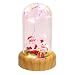 Produktbild Amosfun Mini-Lautsprecher mit USB wiederaufladbare Weihnachten Glaskuppel Licht LED-Nachtlicht mit LED-Lichterketten Tischdekoration für Weihnachten Urlaub Party Dekoration