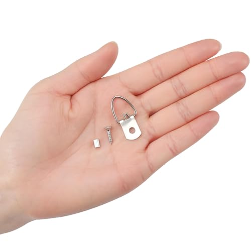 Blisstime Picture Hanging Kit - 100 Feet Stainless Steel Wire, 60 Pcs D Ring Hangers With Screws, 60 Pcs Aluminum Crimping Loop Sleeve for Paintings Photos