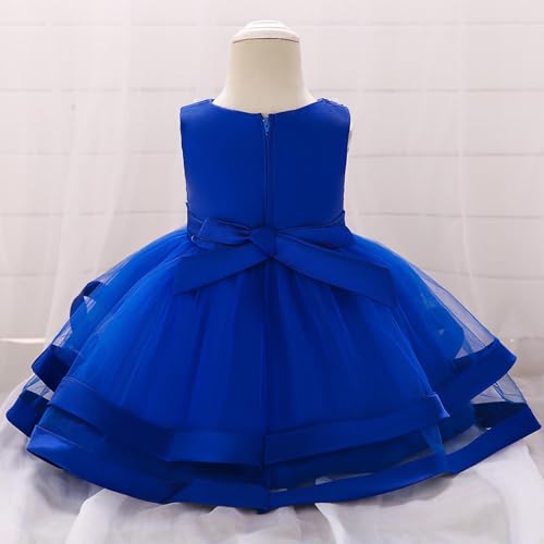 Robes fleuries pour filles en bleu avec volume style princesse