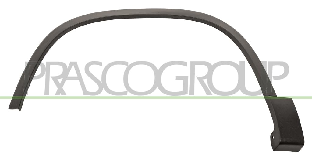 Left Front BLIC 5703-08-9548371P Trim/Protection Strip, wing for VW