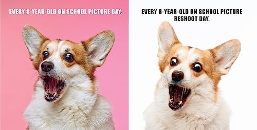 No Thoughts Just Corgis: A Comprehensive Compendium of Cuteness