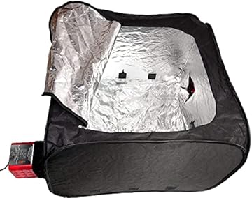best bed bug heat treatment company london