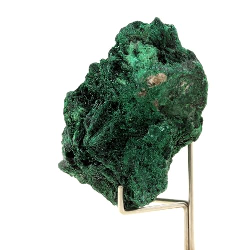 Malachite Katanga Congo 326.5 carats pierre brute collection lithothérapie - 4