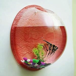 Genreic Pot Plant Wall Mounted Hanging Aquarium Transparent Acrylic Fish Bowl Multi Colour Non- Breakable- 15 inch