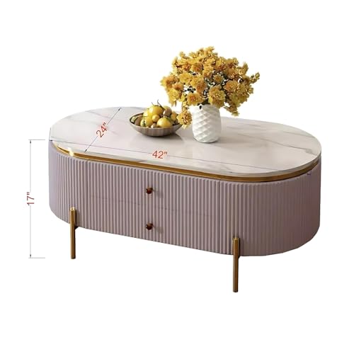 Image of Tesla Centre Table, White Marble Top with Gold Trim, Oval Modern Coffee Table with 2 Drawer Storage, Waterproof Plywood Base, PVD Metal Legs, for Living Room (Pink)