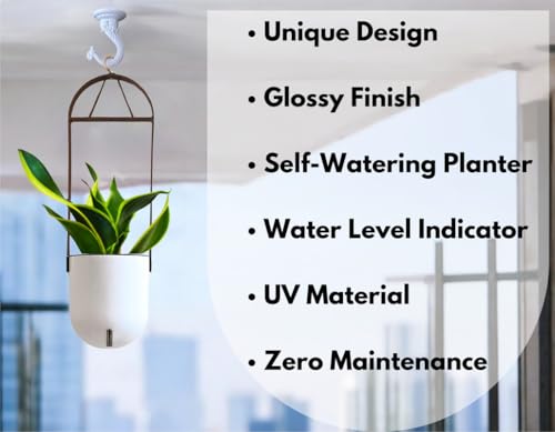 Image of Indian Discovery Self Watering Ceiling Hanging Planter|Hanging /Hooked Flower Pots for Home, Balcony, Vertical Garden Decor Flower Pots(1 PC,White, Sphere)|6 Inch UV-Resistant Plastic Plant Pots