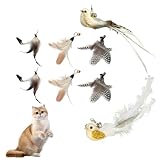 Un Cadeau Idéal : Ce jouets chat est un excellent moyen de garder votre chat actif et heureux. C'est aussi un cadeau idéal et facile à utiliser pour les amoureux des chats ou pour vos propres chats. Notre jouet pour chat est disponible dans une variété de couleurs vives, idéales pour les jeux des chats