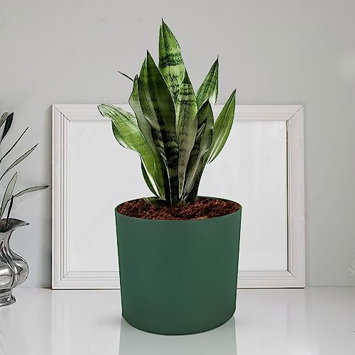 Lasaki Sara 5 inch deep Jungle Ceramic Pots for Indoor Plants, Planters, Flower, Pots, gamla,Outdoor,Balcony,Home,Round,Garden, Office Decor,Succulent(H - 13 X D - 14 cm)(Plants not Included)