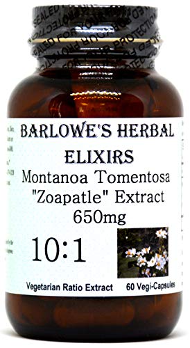 Montanoa Tomentosa 10:1 Extract - Stearate Free, Bottled in Glass!