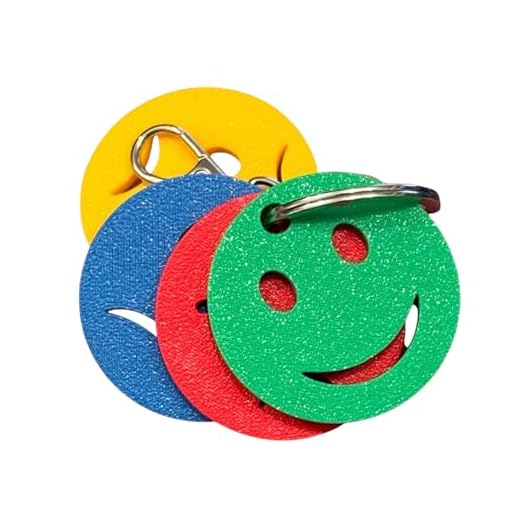 Designed Zones of Regulation Mood Keychain