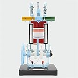 MANUELLES ODER STROMVERSORGUNGSMOTORMODELL -Zwei Möglichkeiten der Verwendung, manuelle oder Anschluss der Stromversorgung. Dieses Dieselmotormodell ist im realen Einsatz und unter realen Bedingungen auf Haltbarkeit und Funktion geprüft und getestet