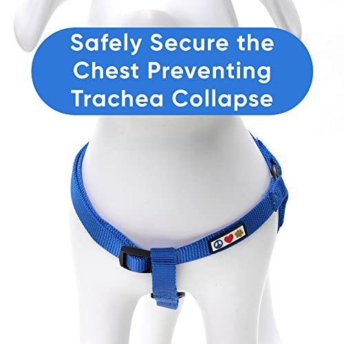 Pawtitas Solid Color Step In Dog Harness Vest Harness Dog Training Walking Of Your Puppy Harness Extra Small Dog Harness Blue Dog Harness #TOP3
