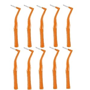 Braces Tand Borstel 1.2mm Smalle Ruimten Veegmachine met Varkenshaar Mondverzorging Tool voor Reizen Thuis 10 stks…