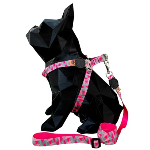 Coleira Peitoral Com Guia Longa De 2 Metros Para Cachorro Pequeno...