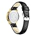 LN LENQIN Relojes Mujer Reloj De Cuarzo Analógicos para Muje Relojes De Pulsera Impermeables para Mujer con Correa De Cuero Imagen de LN LENQIN Relojes Mujer Reloj De Cuarzo Analógicos para Muje Relojes De Pulsera Impermeables para Mujer con Correa De Cuero