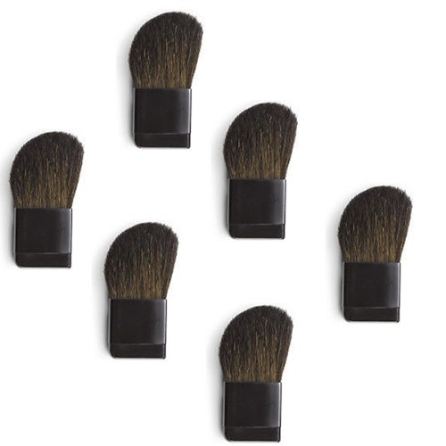 Hight Quality Portable Professional Compact Cheek Brush ideal for the pressed powders (6pcs)