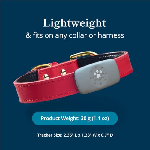 Image of petivity Purina Dog GPS Tracker Collar, Activity and Real Time Tracking