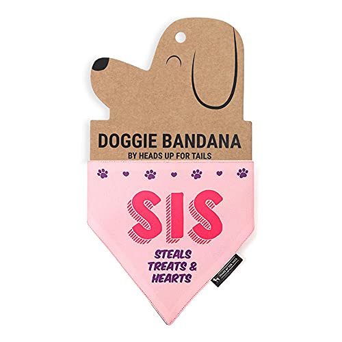 Image of Heads Up For Tails Sis - Steals Treats & Hearts Dog Bandana - M