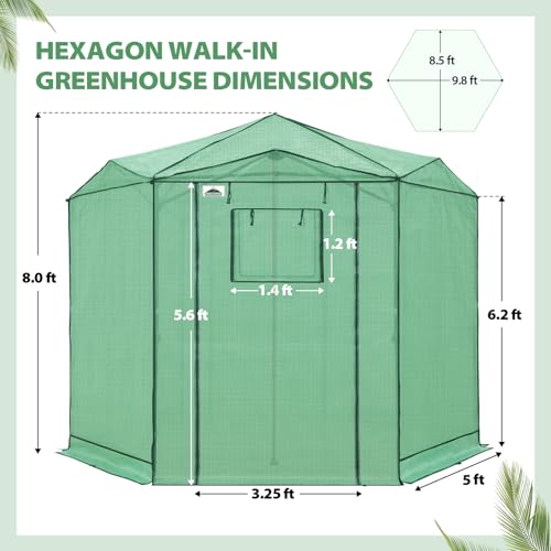 Image of EAGLE PEAK 8.5x8.5 Easy Setup Pop Up Greenhouse, Hexagon, Clear /Green