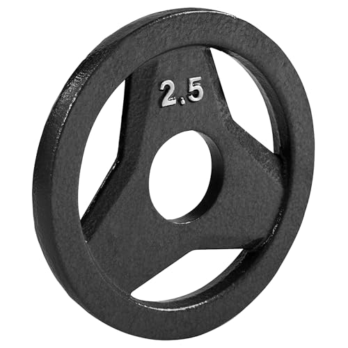 JFIT Cast Iron Olympic 2-Inch Grip Plate for Barbell Single Plate 2.5 LB
