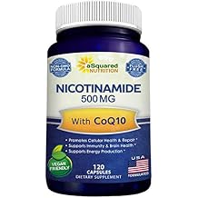Nicotinamide with CoQ10 120 Capsules - Vitamin B3 500mg Niacinamide Flush Free - Coenzyme Q10 Powder - VIT B-3 & Coq 10 Supplement Pills to Support Energy, NAD, Skin Cell Health