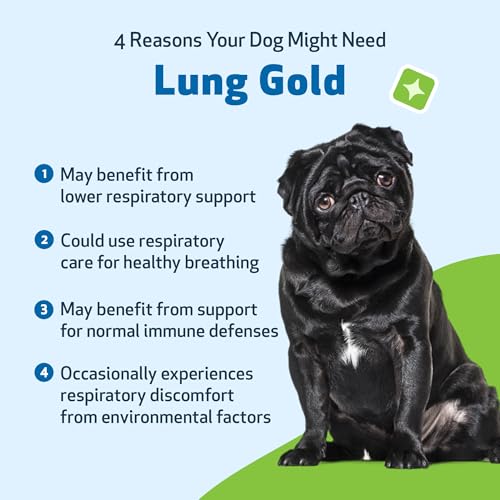 Pet Wellbeing Lung Gold for Dogs - Lung Immune Support, Lower Respiratory Health, Open Airways, Normal Breathing, Reishi, Coptis - Veterinarian-Formulated Herbal Supplement - 2 oz (59 ml)