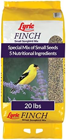 best seed mix for finches that will transform your bird feeding experience 8 Lyric Finch - Small Songbird Wild Bird Seed - Attracts Goldfinches, House Finches, Purple Finches & More - 20 lb. bag