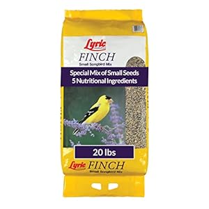 Lyric Finch – Small Songbird Wild Bird Seed – Attracts Goldfinches, House Finches, Purple Finches & More – 20 lb. bag