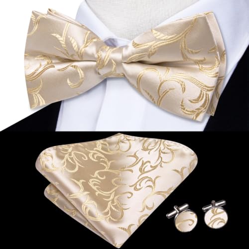 Image of Dubulle Mens Paisley Striped Bowtie Set Pre-tied Bowtie for Men and Pocket Square Set Wedding Business