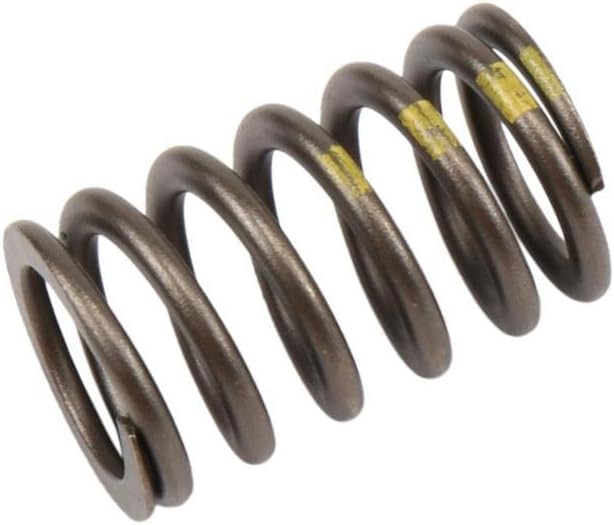 GM Genuine Parts 90537032 Engine Valve Spring - OEM Engineered for Chevrolet, Buick, GMC, Cadillac