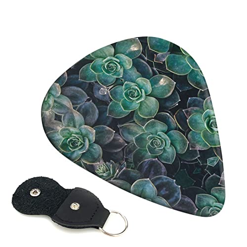 Succulent Plants Lot de 6 médiators pour guitare acoustique, guitare électrique, basse, ukulélé – fin, moyen et épais. - Les Beatles, Paul McCartney, John Lennon, RIngo Starr, George Harrison Succulent Plants Lot de 6 médiators pour guitare acoustique, guitare électrique, basse, ukulélé – fin, moyen et épais.
