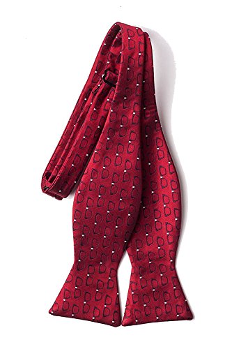 Men's Microfiber Eye Glasses Four Eyes Optometrist Doctor Butterfly Self Bow Tie (Red) #TOP1