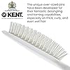 Kent-AH6W-Airhedz-Pro-Extra-Large-Pin-Hair-Brush-Fat-Pin-White Kent AH6W Airhedz Pro Extra Large Pin Hair Brush (Fat Pin, White)