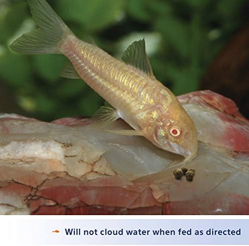 Aqueon Shrimp Pellets Fish Food