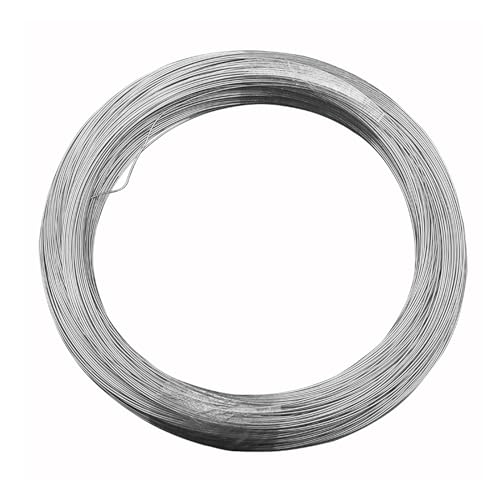 PHasz 304 Stainless Steel Single Strand Soft Wire Diameter 0.2-0.35Mm Weight 1Kg Suitable for Hardware Accessories,Diameter 0.2mm