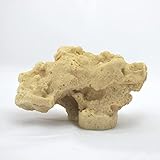 AQUARIUM-PLÜDERHAUSEN