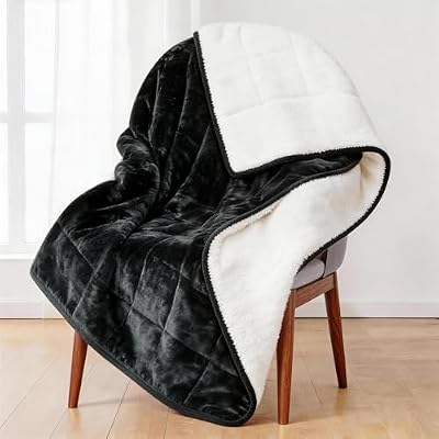 Alomidds Weighted Blanket Queen Size 15lbs 60x80 inches,Soft Plush Fleece Throw Weighted Blankets with Cozy Warm Sherpa,Ultra Fuzzy Heavy Blanket Microfiberfor Sofa Bed, Dark Grey
