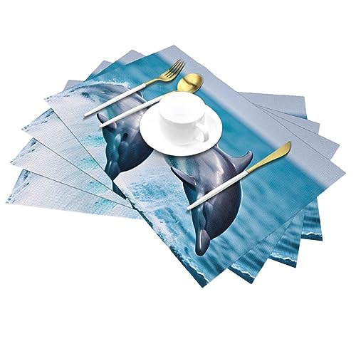 Set de table en vinyle anti-rayure et résistant à la chaleur pour table de salle à manger