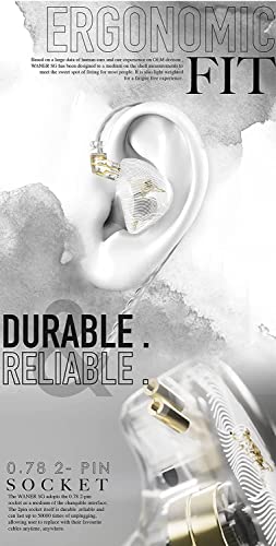 Tangzu wan'er Noise Isolating in Ear Monitor Earphones,10mm Dynamic Driver PET Diaphragm Dual Cavity Chamber IEM Headphones with Detachable Tangle-Free Cords for Musician Audiophile (Black,with Mic)