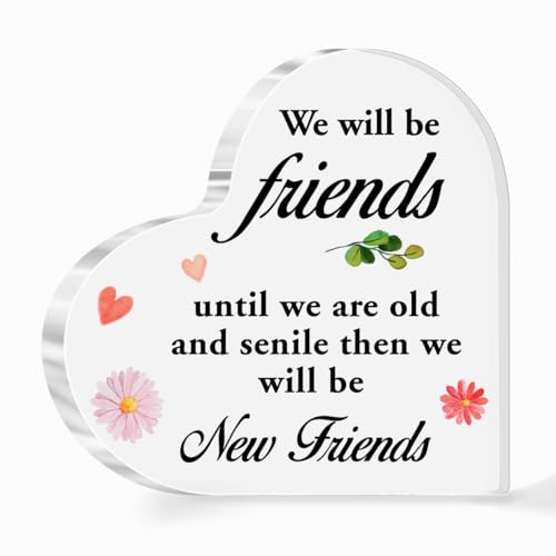 Friendship Gift for Friends,Friend Gifts for Girls Women Christmas Birthday,We Will Be Friends Quote...