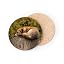 Round Cork