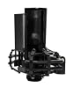 CAD Audio E150 Large Diaphragm Cardioid Condenser Microphone #2
