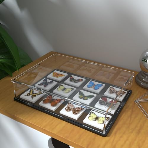 Image of Acrylic Display Case for Books and Medals, Versatile Clear Acrylic Display Box with Black Base for Badges, Coins and Cards, 10.6x8x2.4-inch